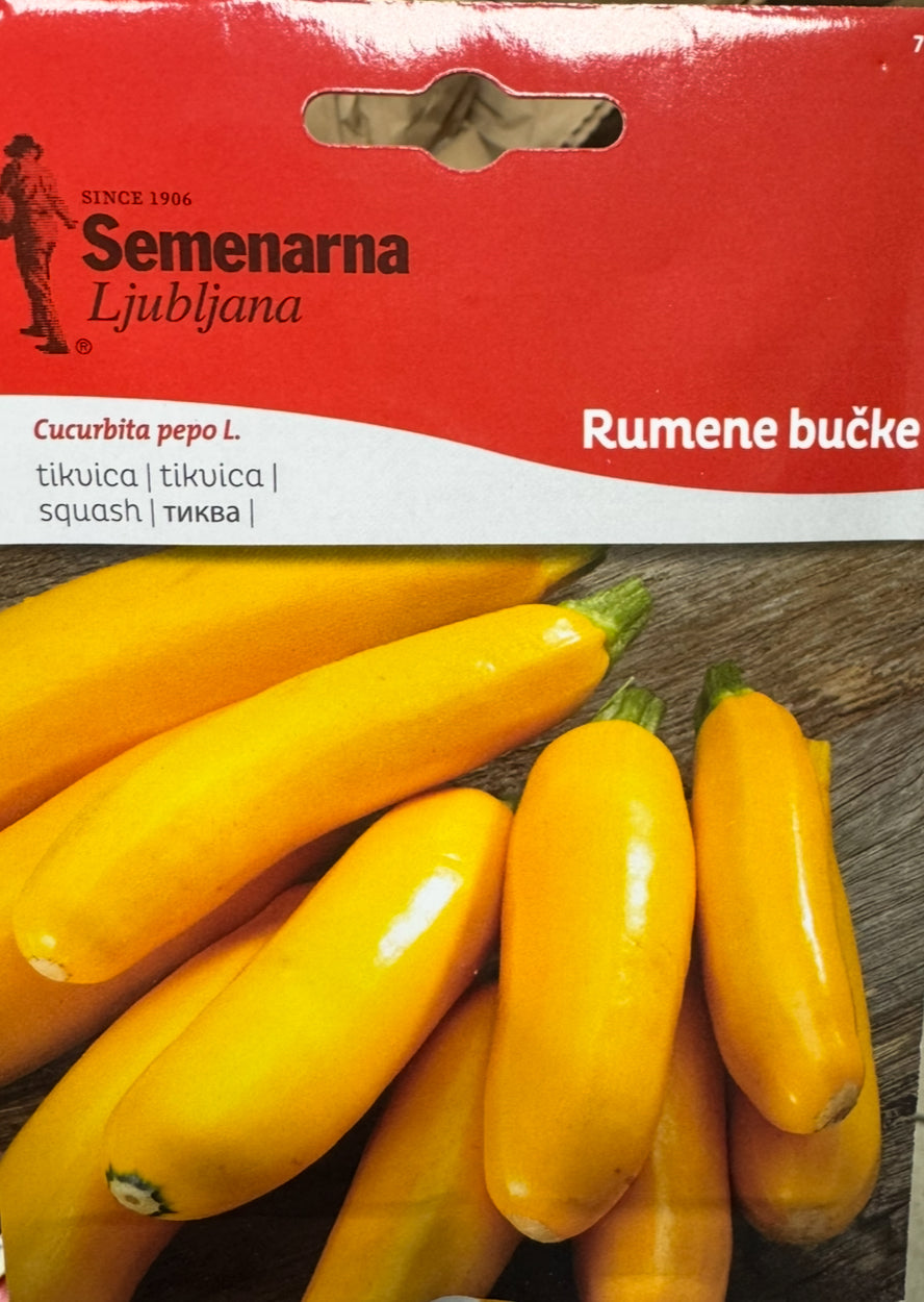 Tikvica - rumene bučke