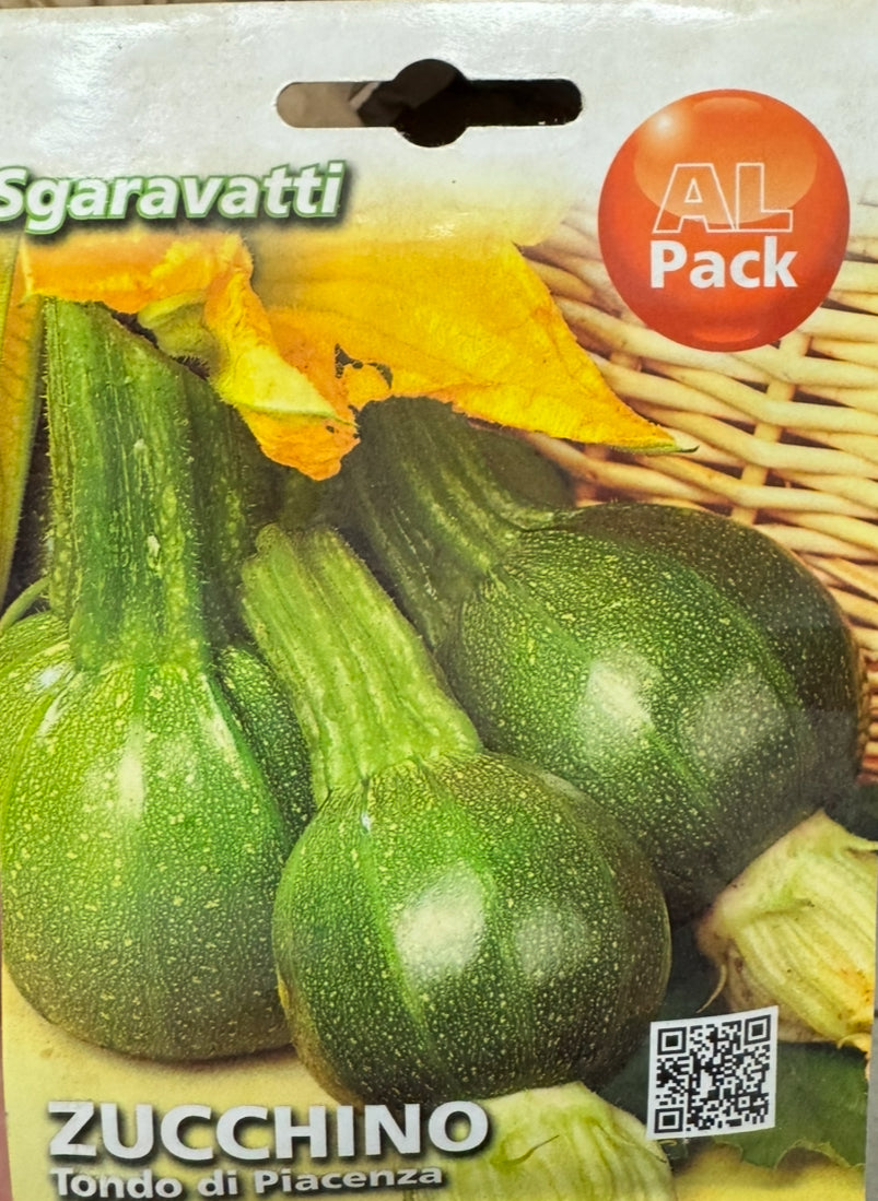 Zucchino tikvice