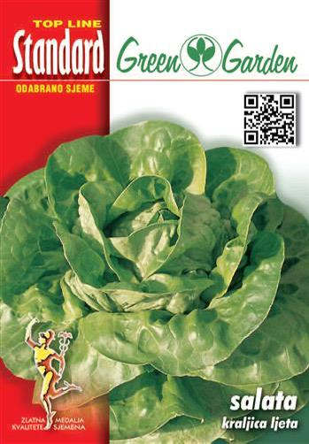 Salata - kraljica ljeta