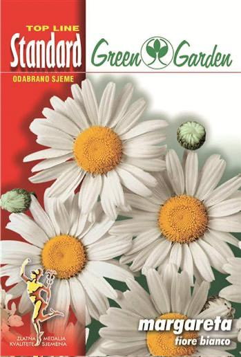 Margareta - fiore bianco