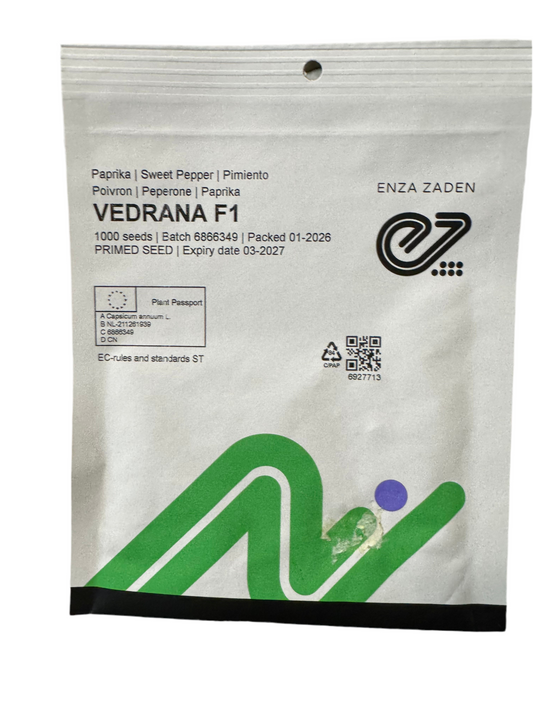 Vedrana F1, paprika 1000 sj.