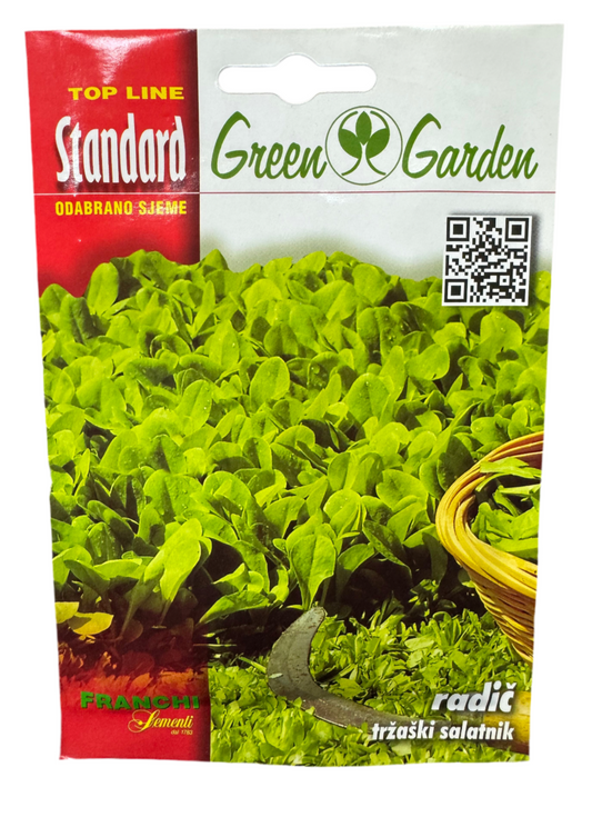 Radič - tržaški salatnik