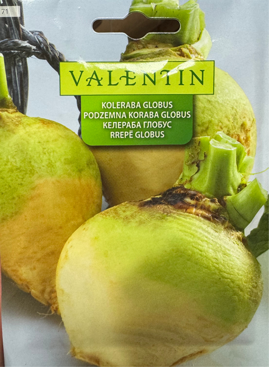 Podzemna koraba globus