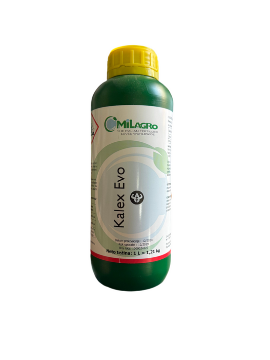 Kalex Evo 1L