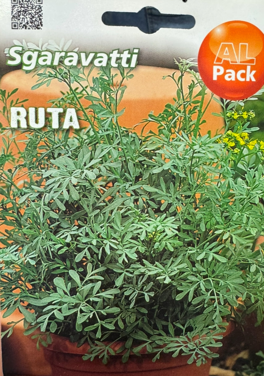 Ruta