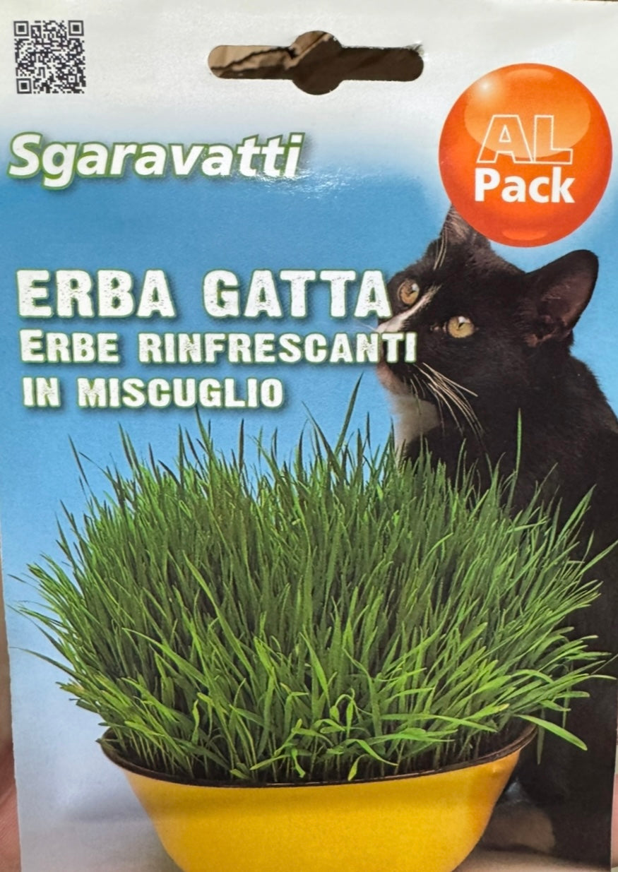 Mačja metvica