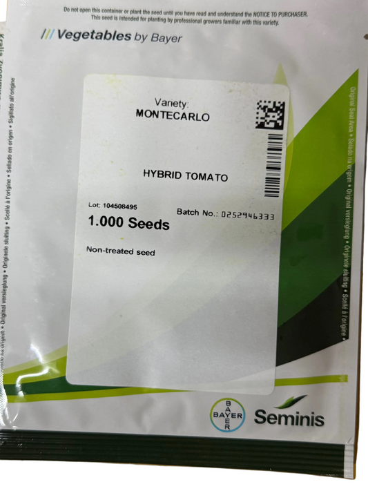 Montecarlo F1 - Rajčica 1000 sj.