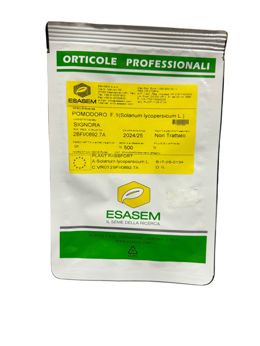 Signora F1, rajčica 500 sj.