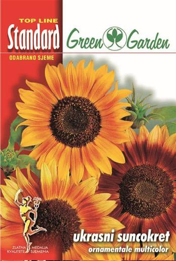Ukrasni suncokret - ornamentale multicolor