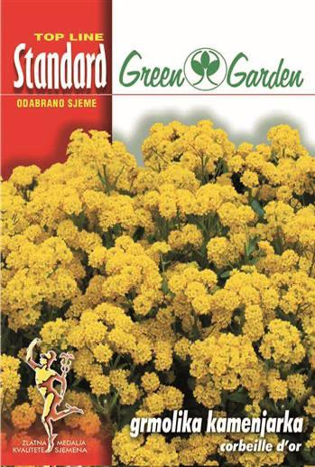 Grmolika kamenjarka - corbeille d'or